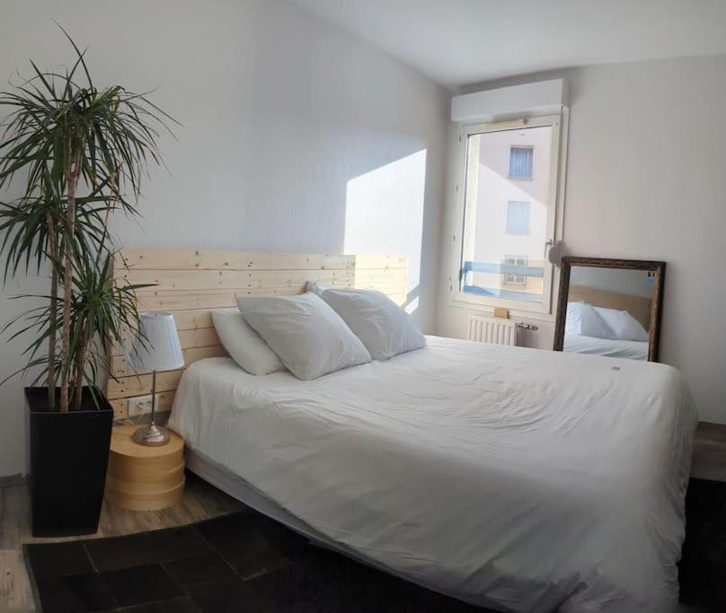 Le Cosy-Chic - T3 Balneo A Villeurbanne / Lyon Zewnętrze zdjęcie